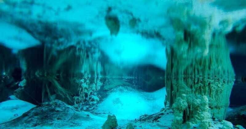 Cenote Paradise Lagoon - The Itinerary Breakdown