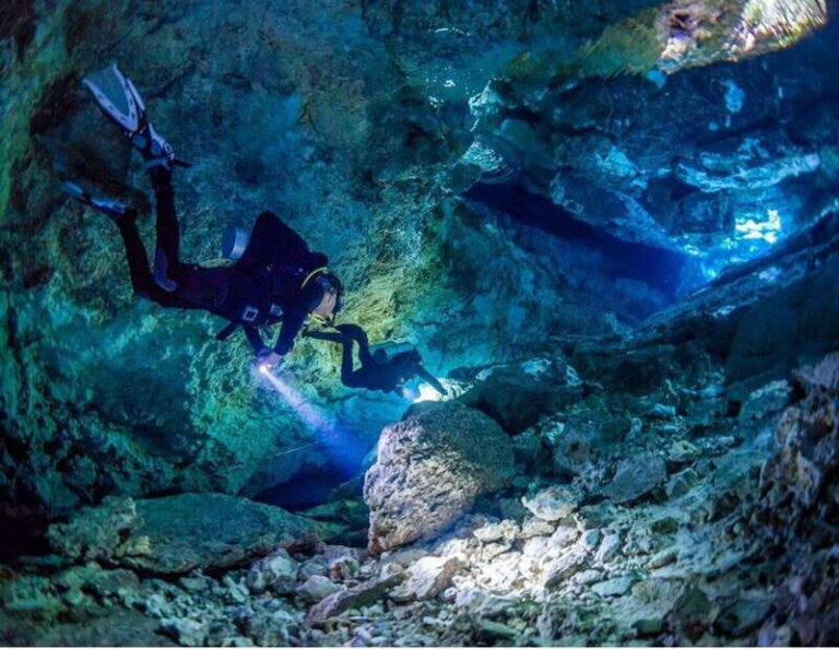 Cenote PRO Just for Experts - Why the Cenote PRO Just for Experts Stands Out