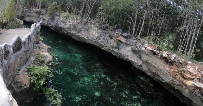Cenotes Express - Exploring the Cenotes: What You Can Expect