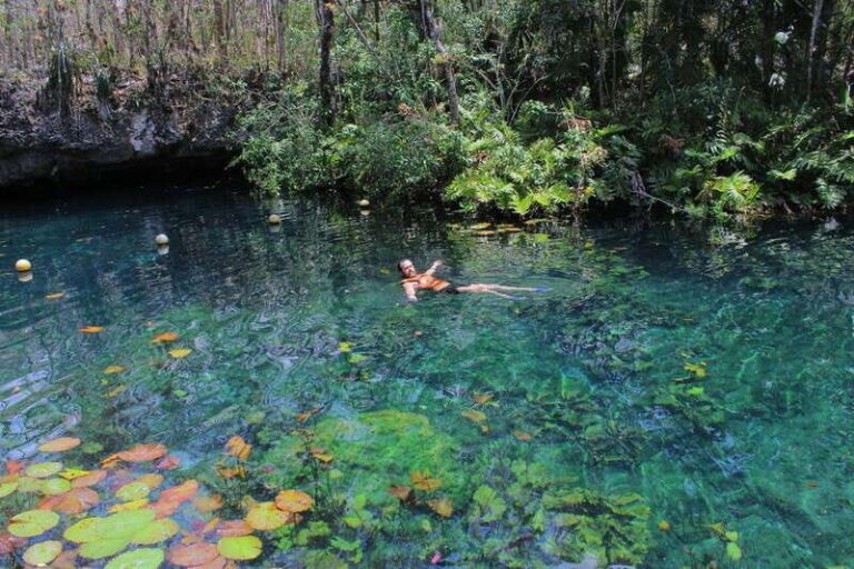 CENOTES TULUM/AKUMAL: 4 Cenotes in Mayan community and snorkeling with turtles - Overall Value and Experience
