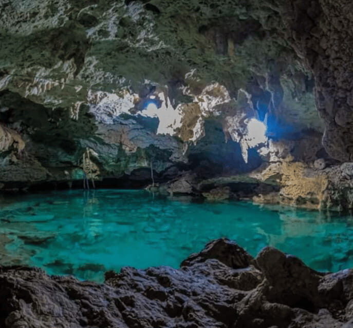Cenotes, Turtles and Beach club - Practical Details and What to Expect