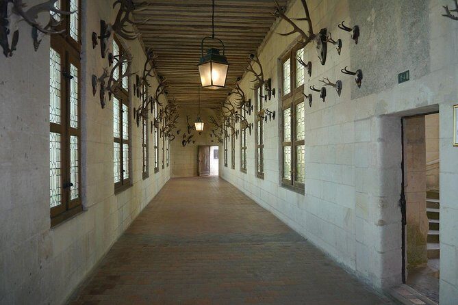 Chambord Castle: Private Guided Walking Tour - The Value of a Private Guided Tour