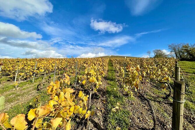 Champagne Small-Group Tour with Tastings and Lunch from Epernay - Conclusions: Who Will Love This Tour?