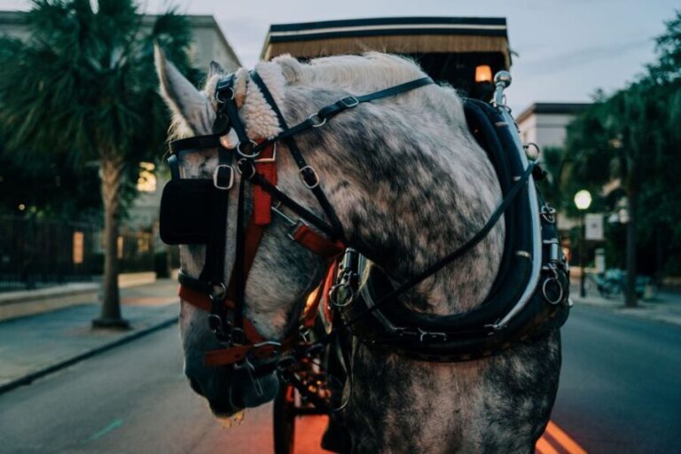 Charleston: Haunted Carriage Evening Tour - Detailed Breakdown of the Experience