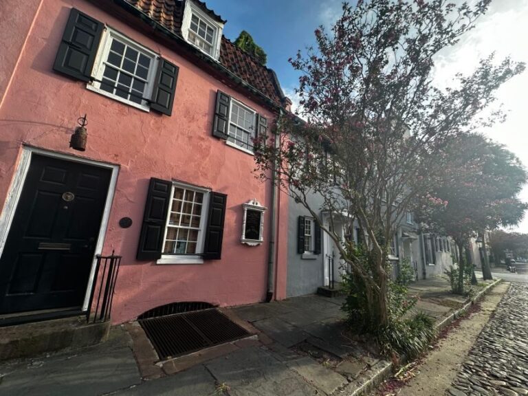 Charleston: History and Architecture Guided Walking Tour - Who Is This Tour Best For?