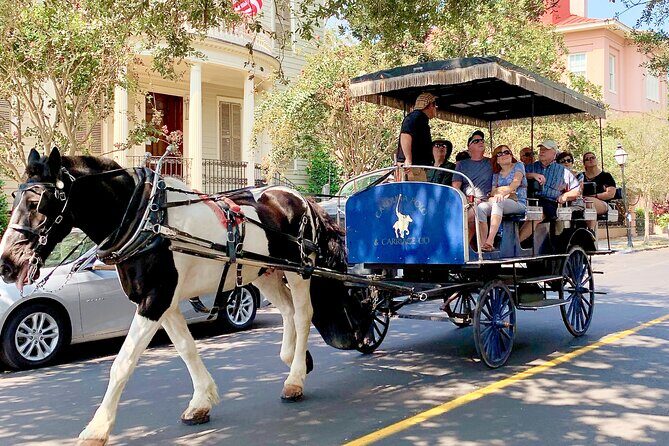 Charleston Horse & Carriage Historic Sightseeing Tour - Itinerary Breakdown: What You Can Expect