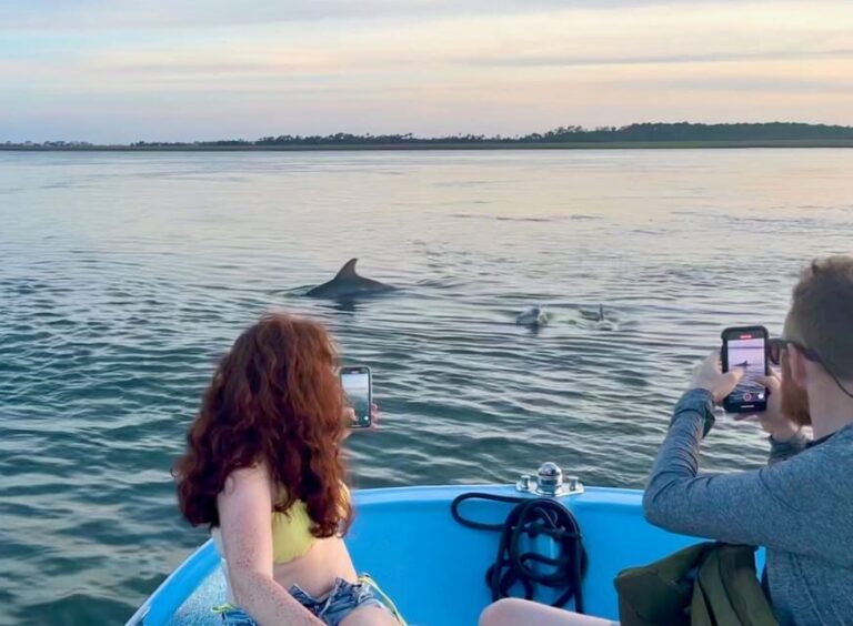 Charleston: Morris Island Dolphin Cruise with Beachcombing - Who Will Love This Tour?