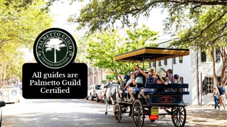 Charleston, SC: Private Daytime Horse-Drawn Carriage Ride - Exploring Charleston’s Historic Streets in Comfort