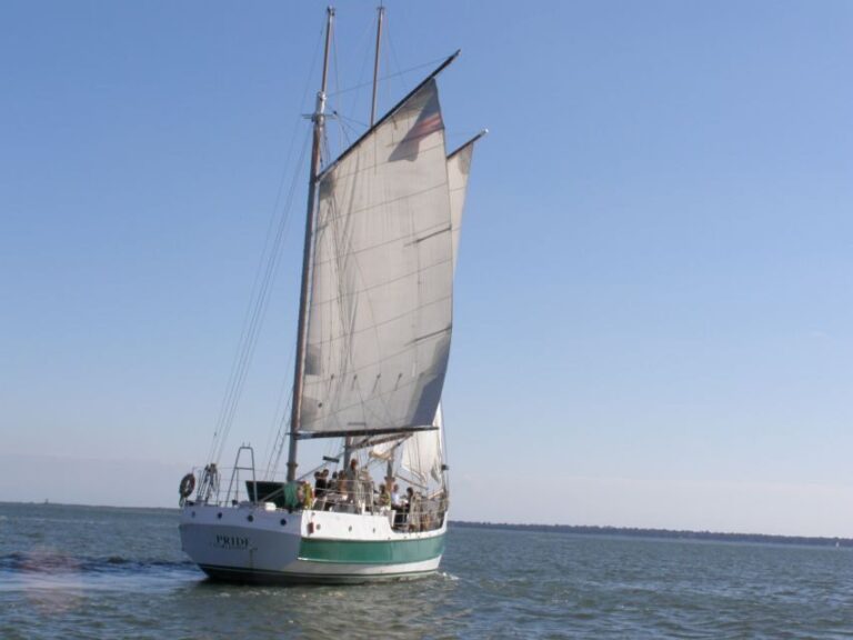 Charleston: Schooner Sailing Harbor Tour & Dolphin Watch - Practical Tips for Your Trip