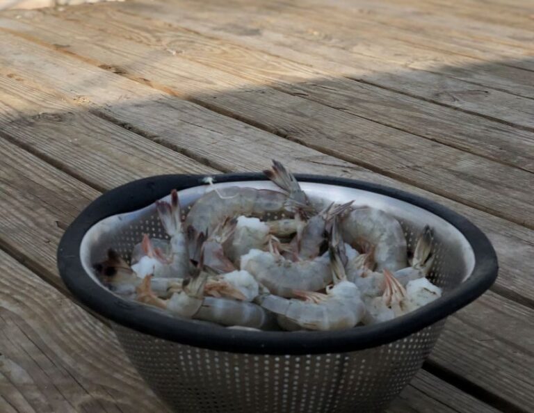 Charleston: Shem Creek Culture Tour - Exploring the Charleston Shem Creek Culture Tour in Detail