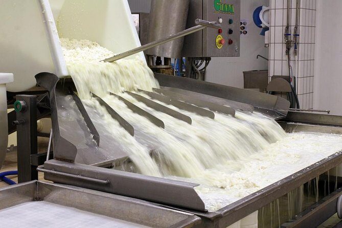 Cheesemaker for a day & visit to the dairy - Who Would Love This Tour?