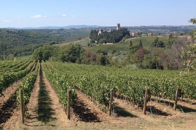 Chianti Wine Tour - Private Wine experience in Tuscany Countryside - Who Would Love This Tour?