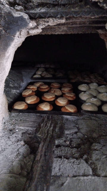 Chiapas: Immersive Zoque Culinary Experience - Who Will Love This Tour?