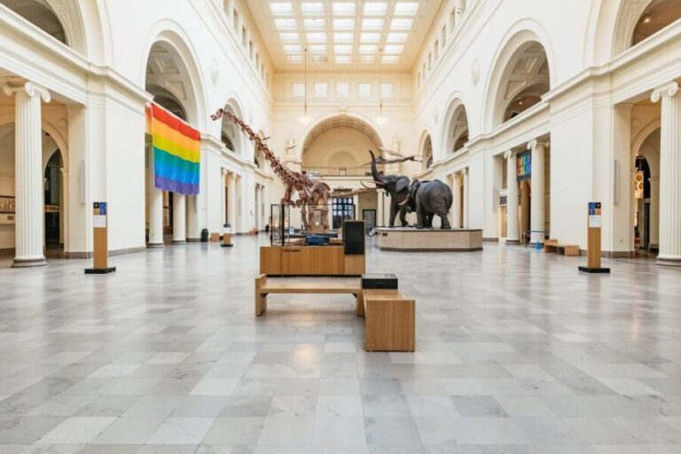 Chicago: Field Museum of Natural History Ticket or VIP Tour - Practical Tips for Visiting