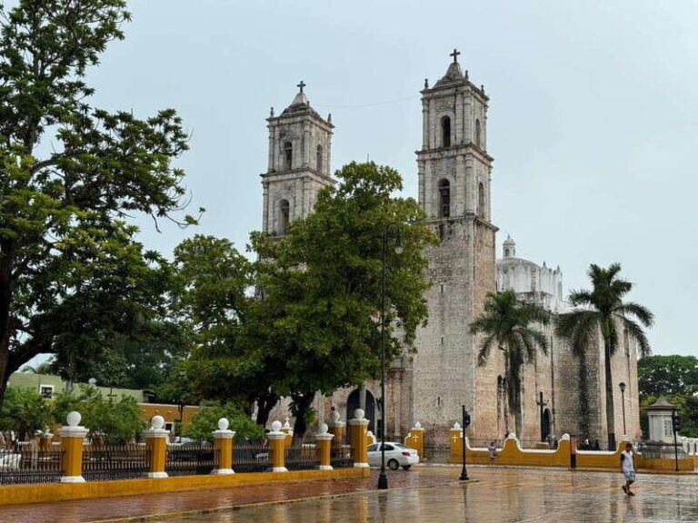Chichen Itza: Private tour (Lunch in Valladolid & Cenote) - What Does the Tour Include? Value in Every Aspect