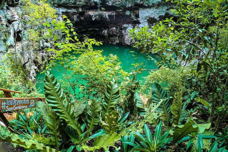 Choose your Experience to live in Los 7 Cenotes San Geronimo - Who Will Love This Experience?