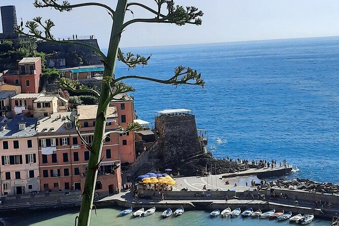 Cinque Terre Semi-Private Day Tour from Montecatini Terme - Transportation and Logistics