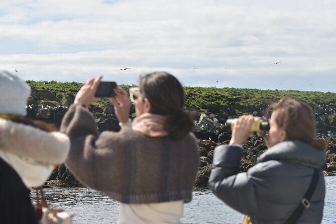 Classic Puffin Watching Cruise from Downtown Reykjavík - Final thoughts