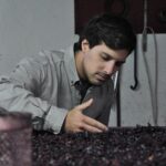Classic Wine Tasting with GUIDED TOUR - What to Expect at Each Stop