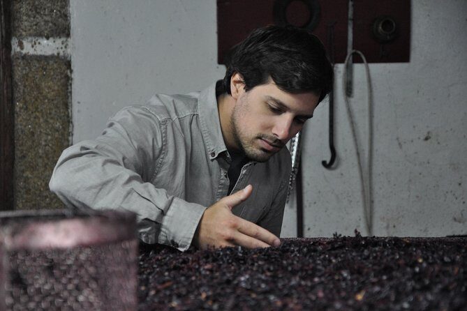 Classic Wine Tasting with GUIDED TOUR - What to Expect at Each Stop