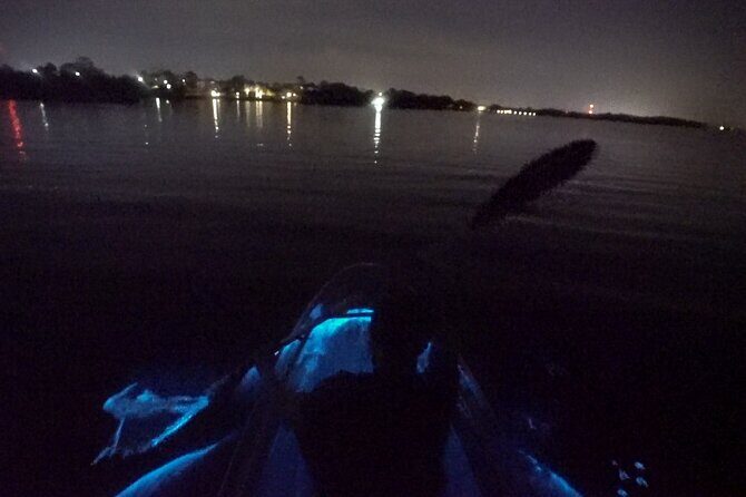 Clear Kayak Bioluminescence Tour - Potential Drawbacks and Considerations