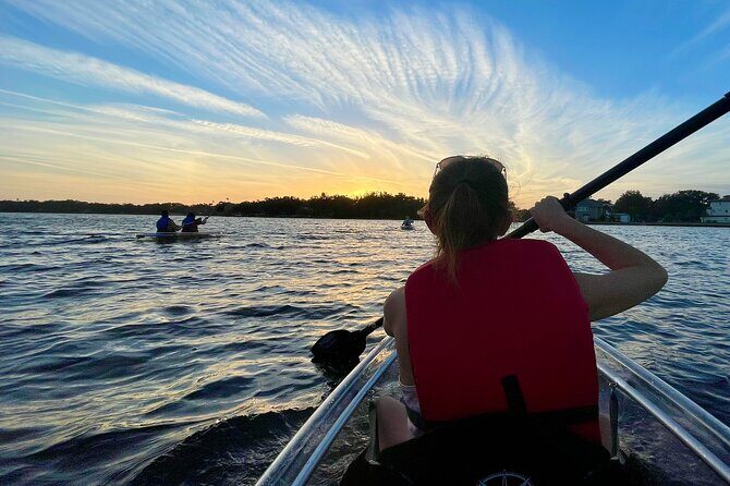 Clear Kayak Tour of Tarpon Springs | Manatee Season - The Real Experience: What You Should Know