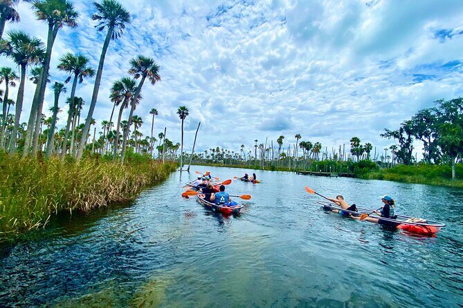 Clear Kayak Tours in Weeki Wachee - Authentic Insights from Reviewers