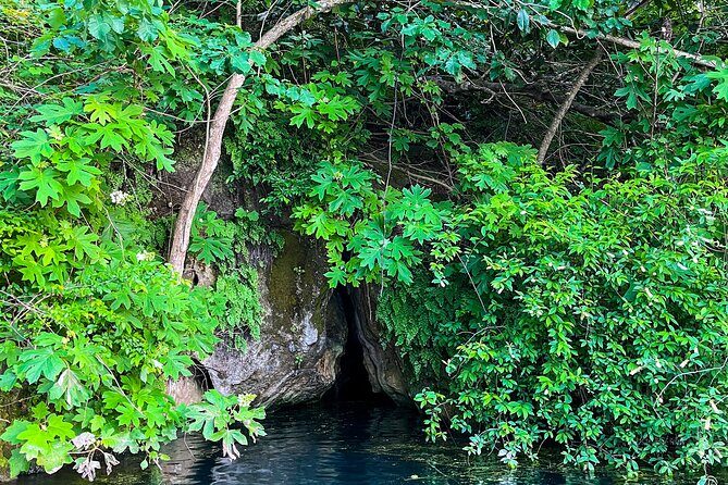 Clear Kayaking Eco Adventure Tour in Marianna - Why You’ll Love This Tour