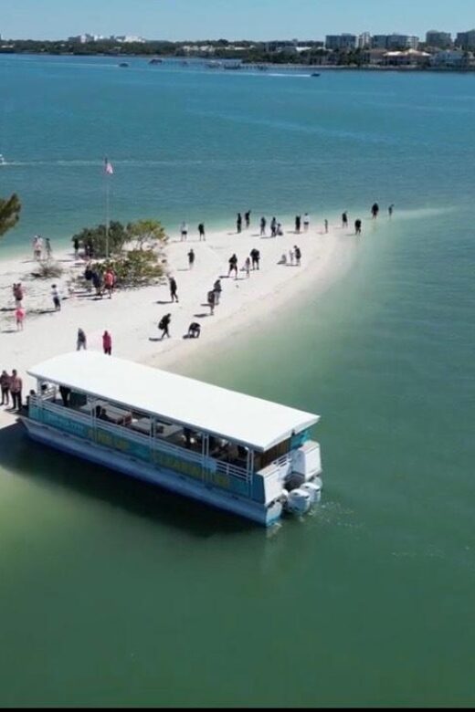 Clearwater Beach: Dolphin & Island Sandbar Cruise - The Itinerary and Highlights