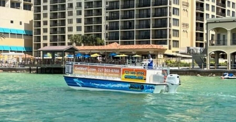 Clearwater Beach: Dolphin-Watching Sunset Cruise - Who Will Love This Tour?