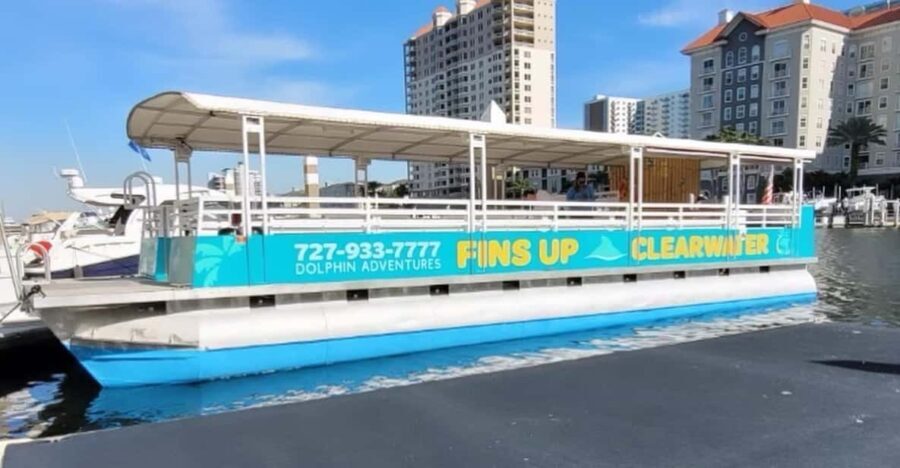 Clearwater Beach: Sunset and Harbor Lights Cruise - What to Expect