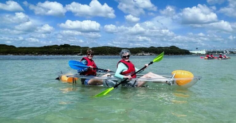 Clearwater: Guided Clear Kayaking Tour - The Value of the Clearwater Guided Kayaking Tour