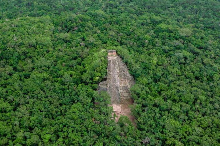Coba & Turtle Adventure - Logistics and Practicalities