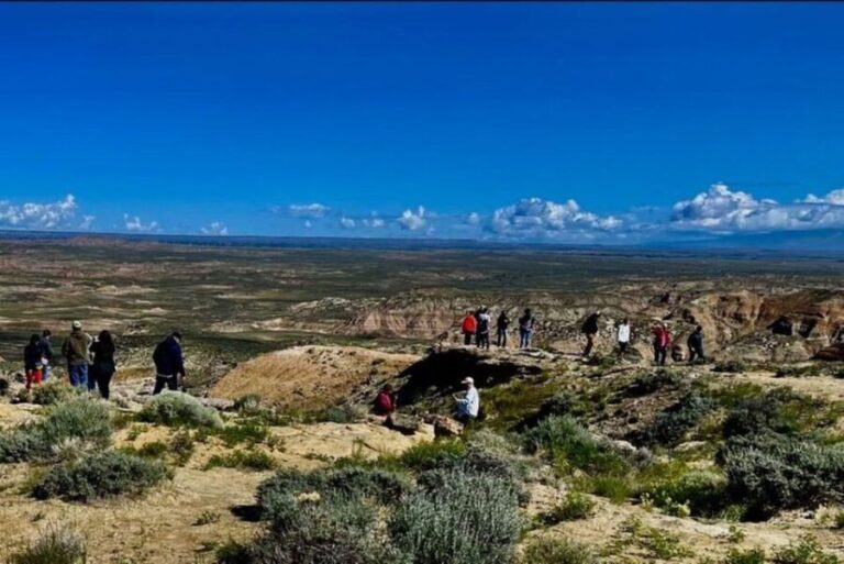 Cody: Red Canyon Wild Mustang Tour - What’s Included & What to Expect