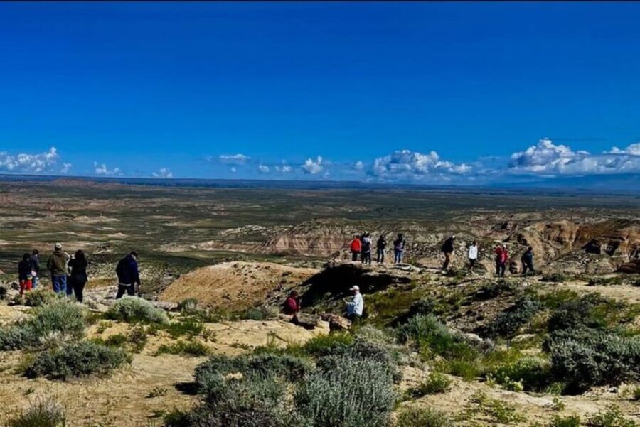 Cody: Red Canyon Wild Mustang Tour - What’s Included & What to Expect