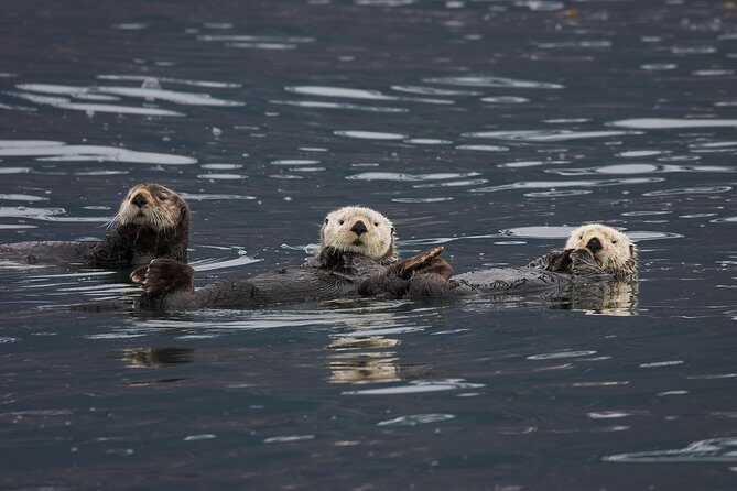 Columbia Glacier Cruise from Valdez - Food and Refreshments