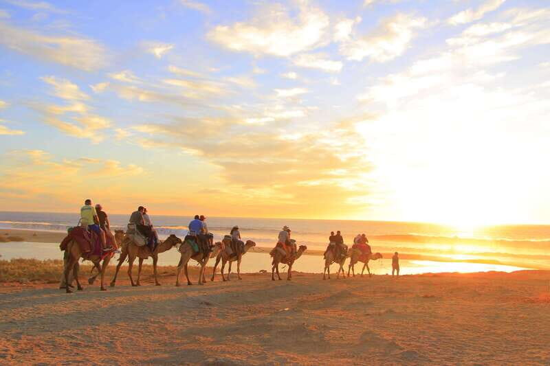 Combo 4X4 Automatic ATV & Camel Ride in Cabo by Cactus Tours - The Value of This Experience