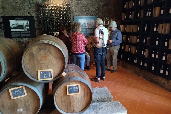 Complete Private Douro Valley Wine Tour - The Experience: What Makes It Special