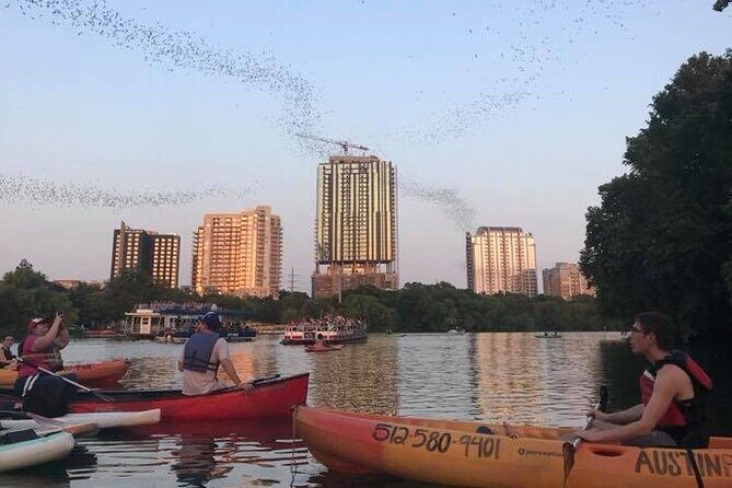 Congress Avenue Bat Bridge Kayak Tour in Austin - Why the Congress Avenue Bat Bridge Kayak Tour Stands Out