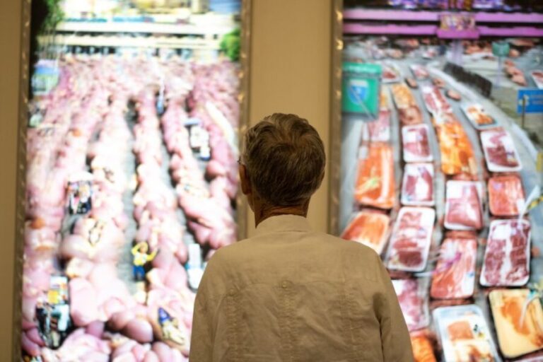 Corpus Christi: The Art Museum of South Texas Entry Ticket - What to Expect During Your Visit