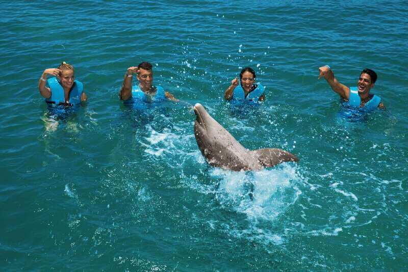 Costa Mujeres: Swim with Dolphins - What to Expect During the Tour
