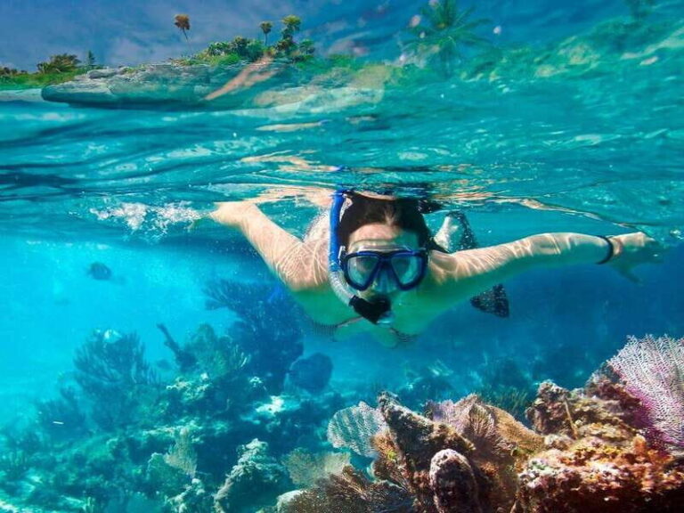 Cozumel: Catamaran Tour, El Cielo, Snorkeling, lunch & Ferry - Scenic Sailing and Relaxation