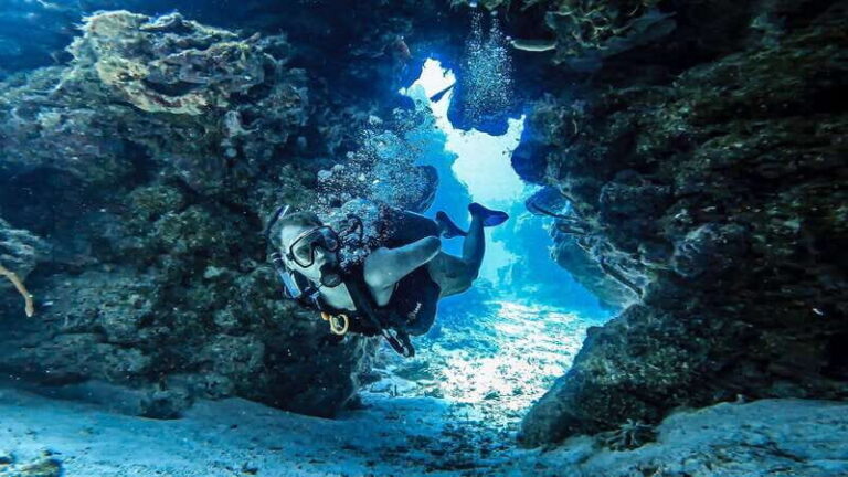 Cozumel: Discover Scuba Diving for Non-Certified Divers - Detailed Breakdown of the Tour: What to Expect
