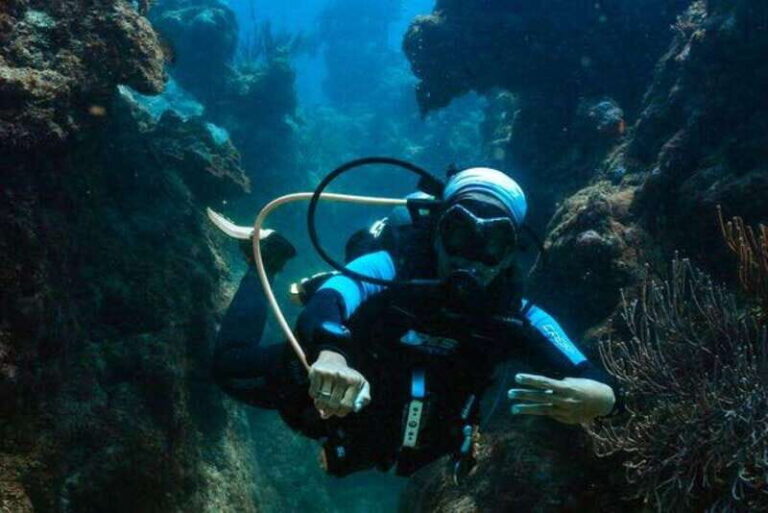 Cozumel: Fun Dive Adventure for Certificates - Who Will Love This Tour?