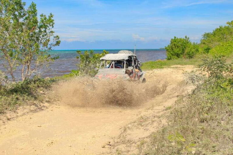 Cozumel: Jeep & Xrail Adventure Excursion - Exploring Cozumel in Style: A Detailed Breakdown