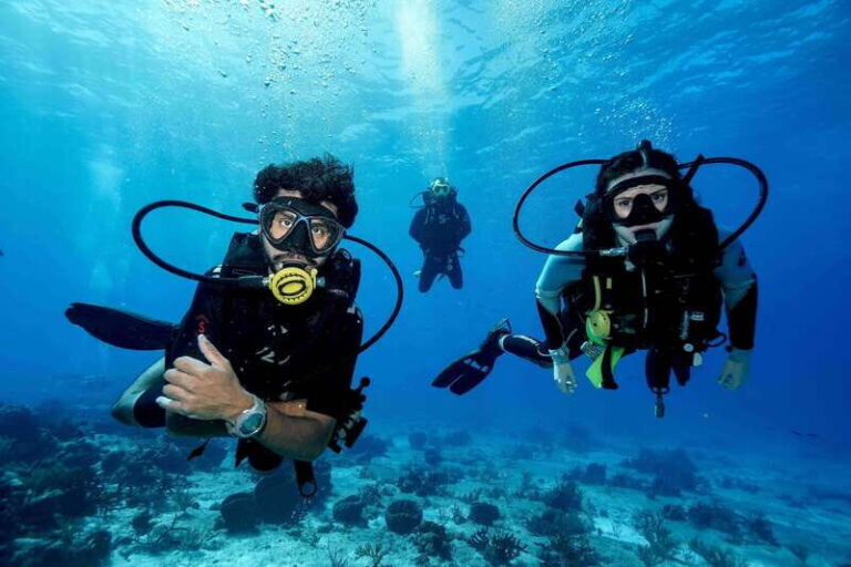 Cozumel: PADI Open Water Certification - The Itinerary Breakdown: What to Expect