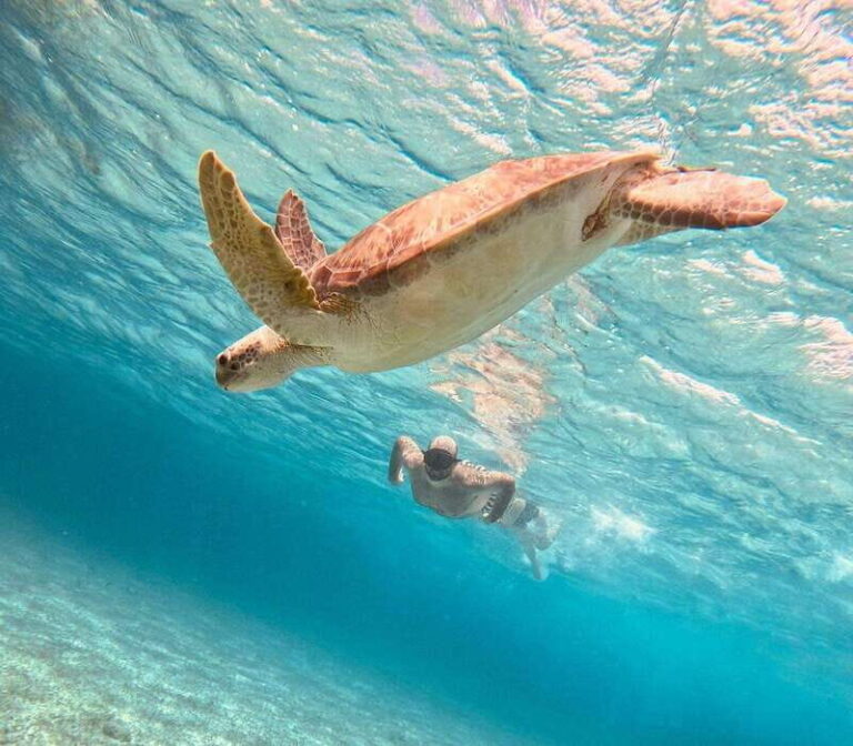 Cozumel: Palancar, Cielo, and Cielito Snorkeling PRIVATE - The Practical Details