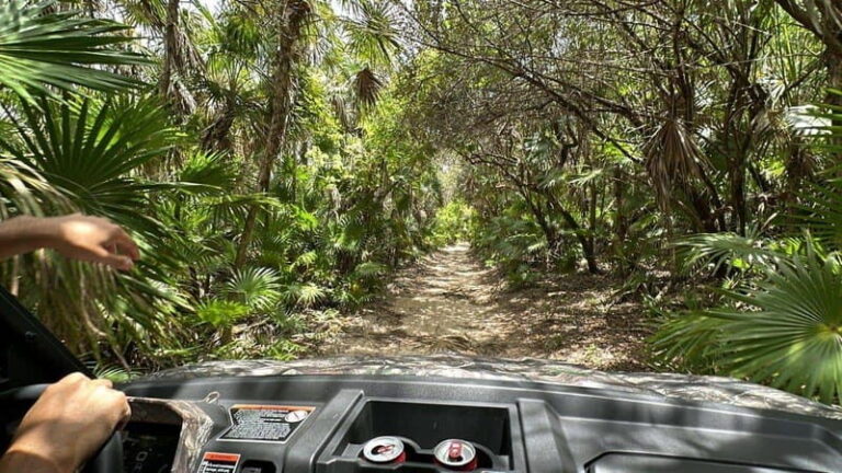 Cozumel: Private All Terrain Buggy Adventure at Virgin Beach - The Stop at the Bee Farm