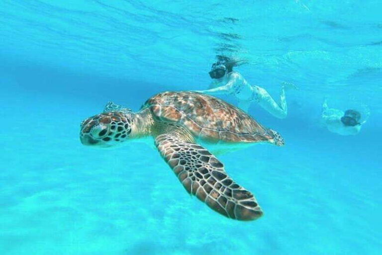 Cozumel: Private Snorkel Tour El Cielo + 3 Reefs Food Drinks - What Makes This Tour Stand Out?