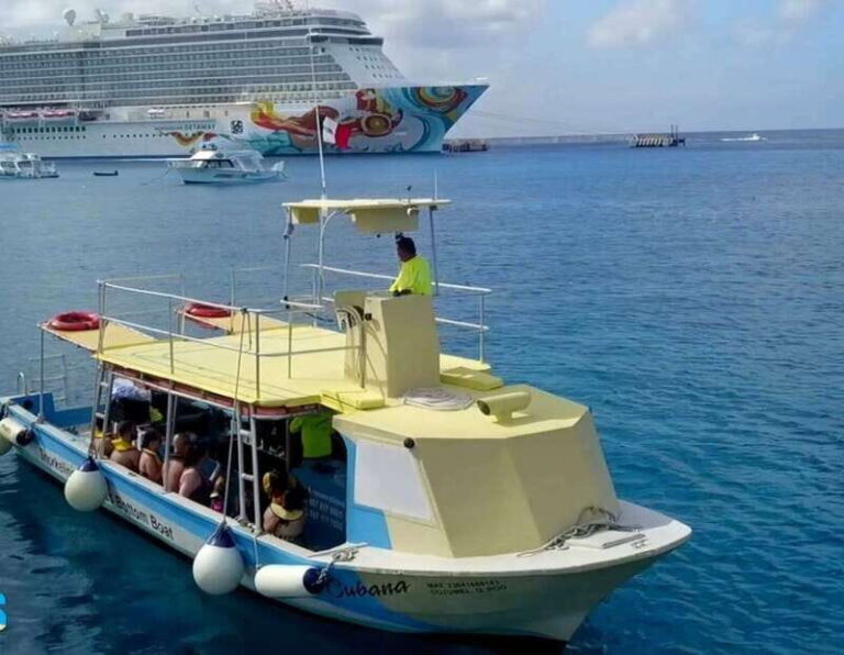 Cozumel: Private VIP Glass Bottom-Boat and Snorkeling Tour - Who Would Enjoy This Tour?